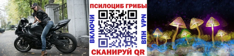 где найти наркотики  Братск  Галлюциногенные грибы Psilocybe 
